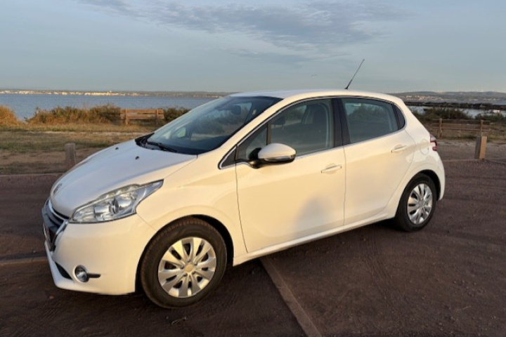 PEUGEOT 208 BUSINESS