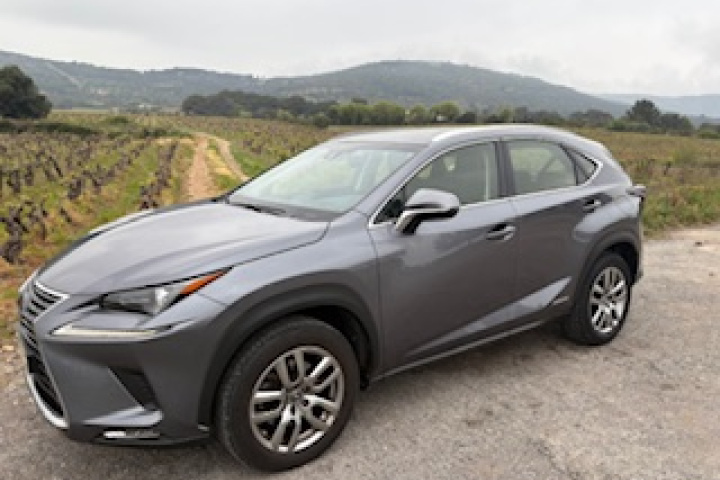 LEXUS NX300H